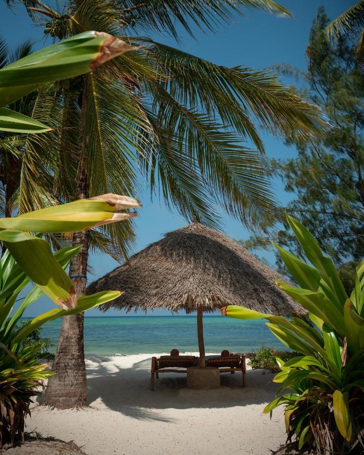 Xanadu Luxury Villas & Retreat Zanzibar Bwejuu Eksteriør billede